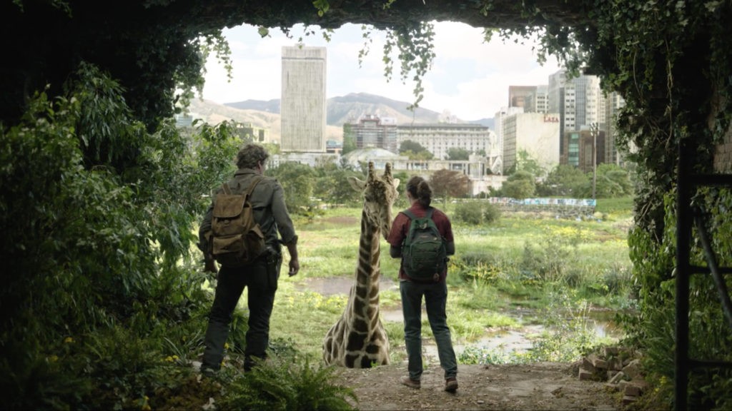 The Last of Us сериал