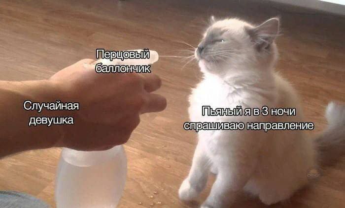 медицинское кино