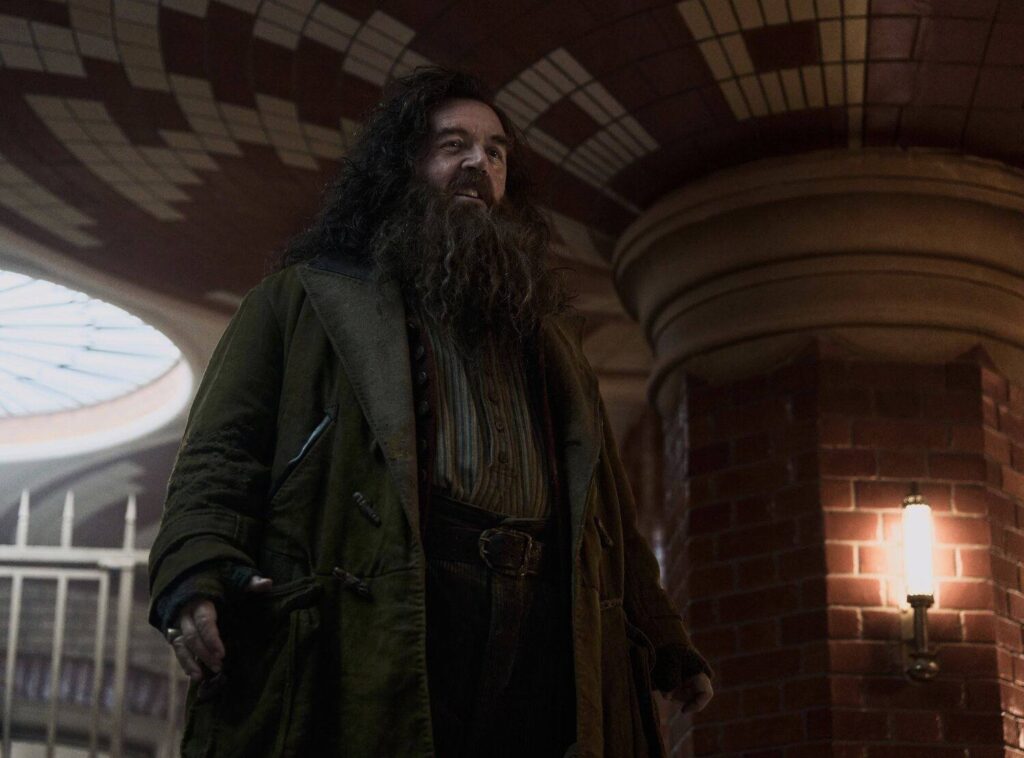 Nick Frost Harry Potter